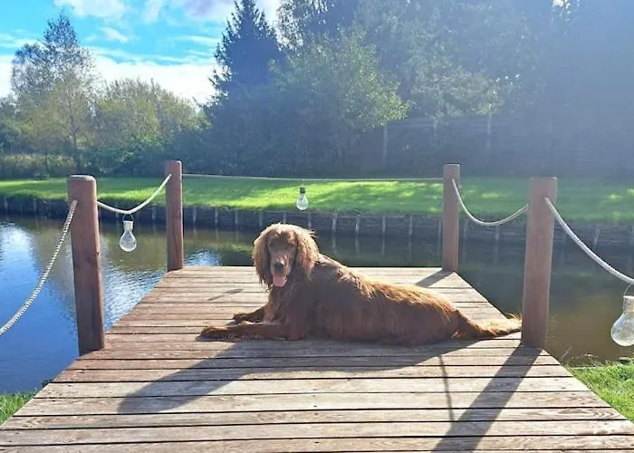 Semesterbostad With Sauna, Jacuzzi, Private Pond Lipusz